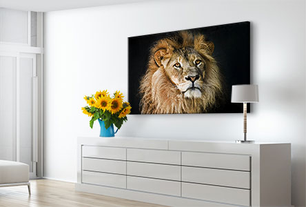 wohnraum loewe potrait alu dibond